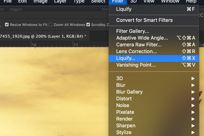 Screenshot of liquify in Photoshop