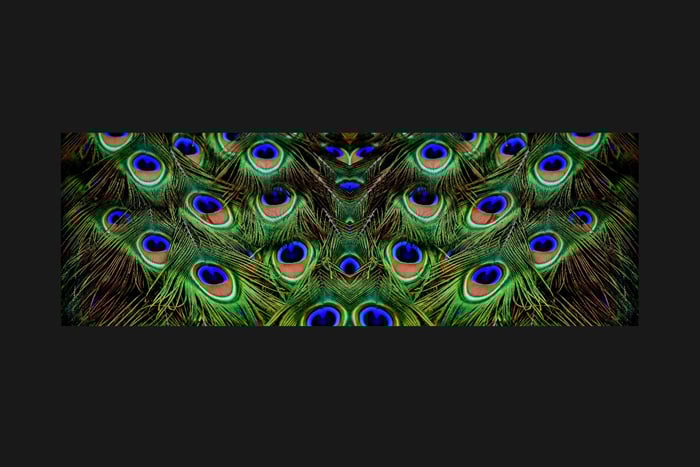 Screenshot of mirrored image in Photoshop