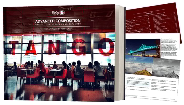 Photzy Advanced Composition ebook