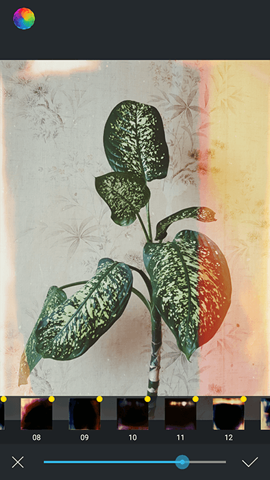 A screenshot of using Afterlight app to edit a photo of a house plant