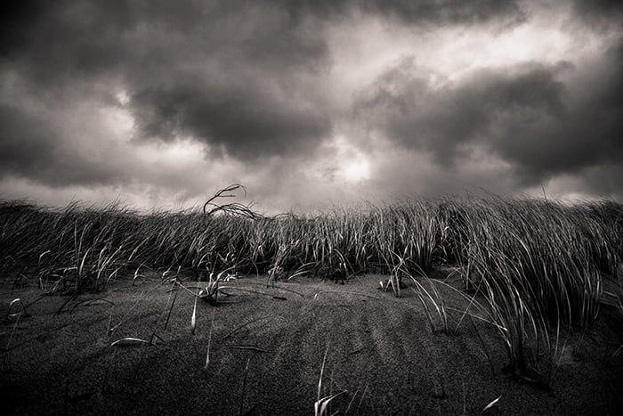 moody black and white landscape shot