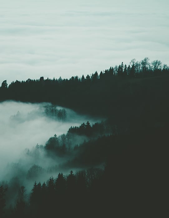 A dark image of a silhouette forest with clouds
