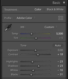 A screenshot of using the basic panel in Lightroom