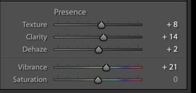 A screenshot of using the presence panel in Lightroom