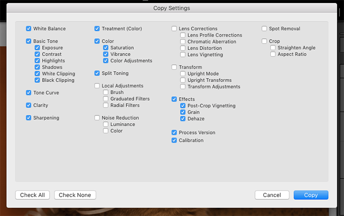 A screenshot of copy settings in Lightroom