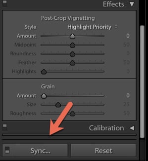 a screenshot showing how to sync presets in Lightroom