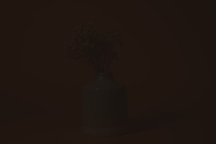 a picture of a vase of flowers with ISO 100.