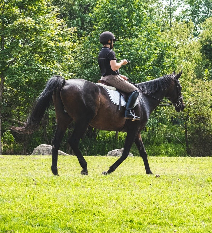 A man riding a dark brown horse