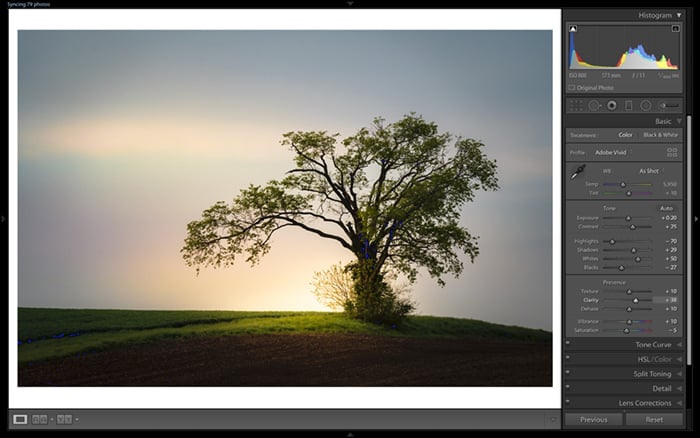 Screenshot of Lightroom's Develop Module. 