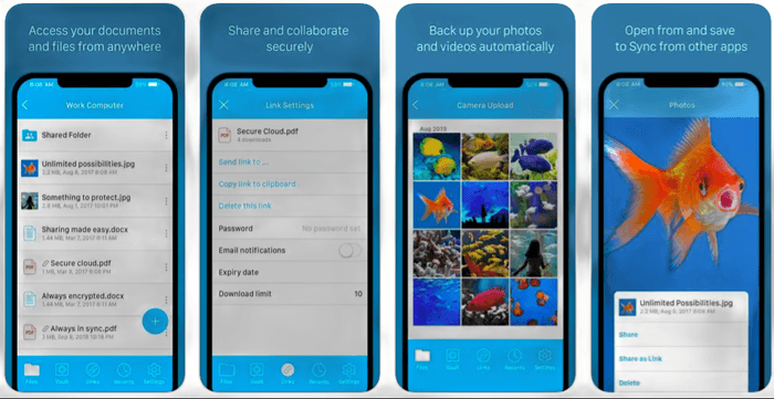 Screenshot of Sync's iPhone screens