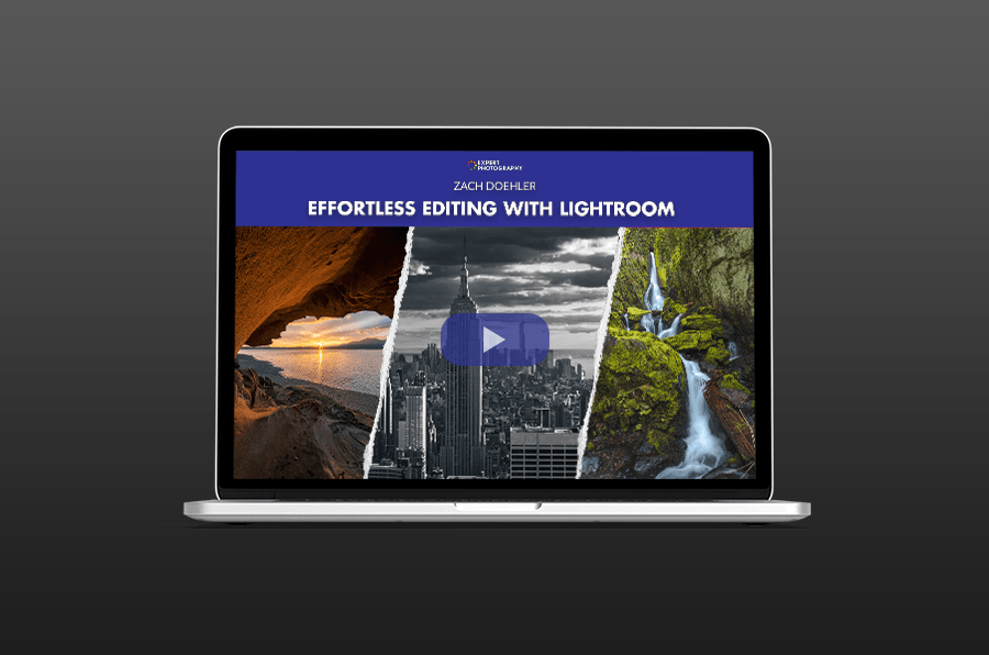 A laptop screen displaying a website.