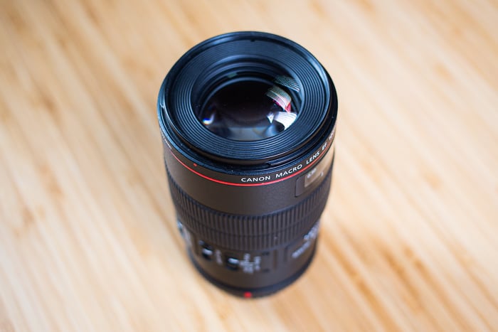 Canon EF 100mm f/2.8L USM Macro Lens Review 2026