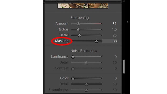 A screenshot of the masking slider in Lightroom