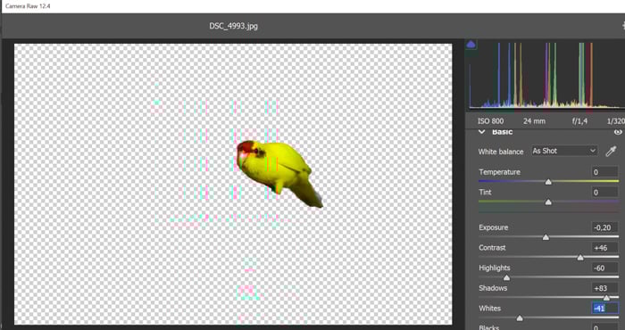 A digital art of a yellow bird.