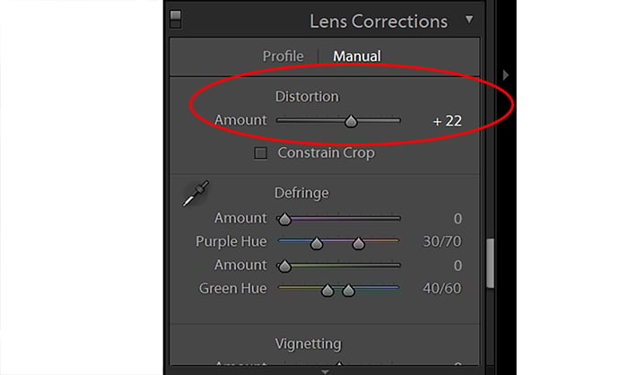 a screenshot showing lightroom correction distortion slider