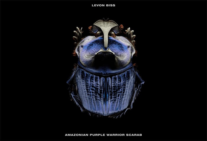 A screenshot of the homepage from one of the best photography websites