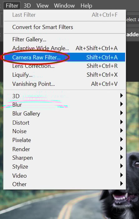 Screenshot of selecting camera raw filter in Photoshop