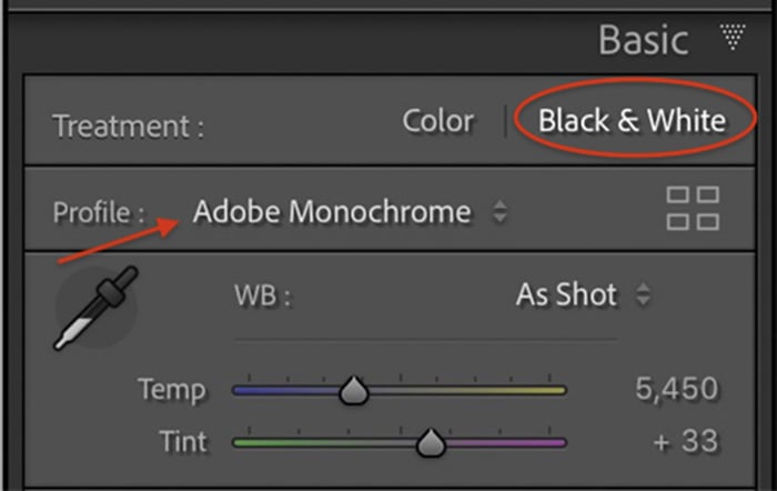 Lightroom screenshot basic panel