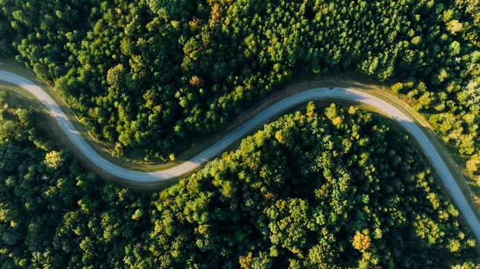 a drone shot of a winding road through a green forest