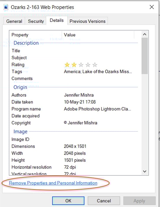a screenshot of Windows properties panel showing how to remove metadata from your image