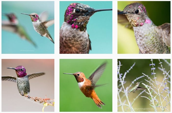 Tracy Johnson instagram portfolio