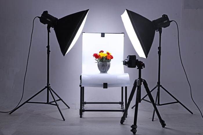 studio lights flower still life