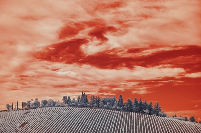 creative infrared effect on a scene of the sky over a rolling field