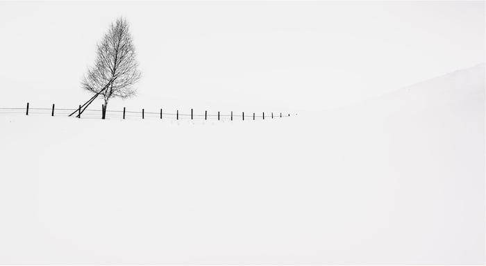 minimalist landscape photography: a lone tree and fence in a snowscape