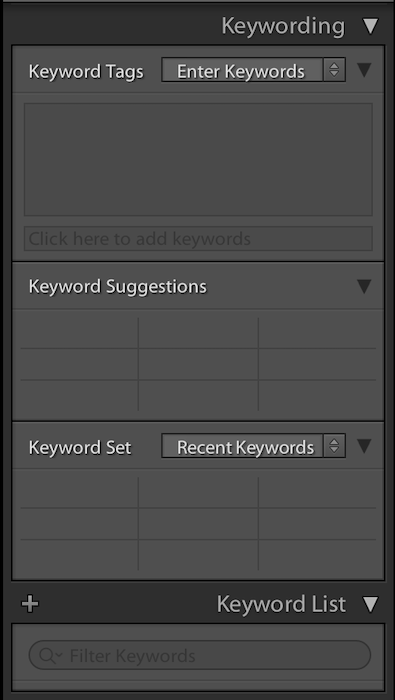 keywording feature in Adobe Lightroom with keyword suggestions and keyword list