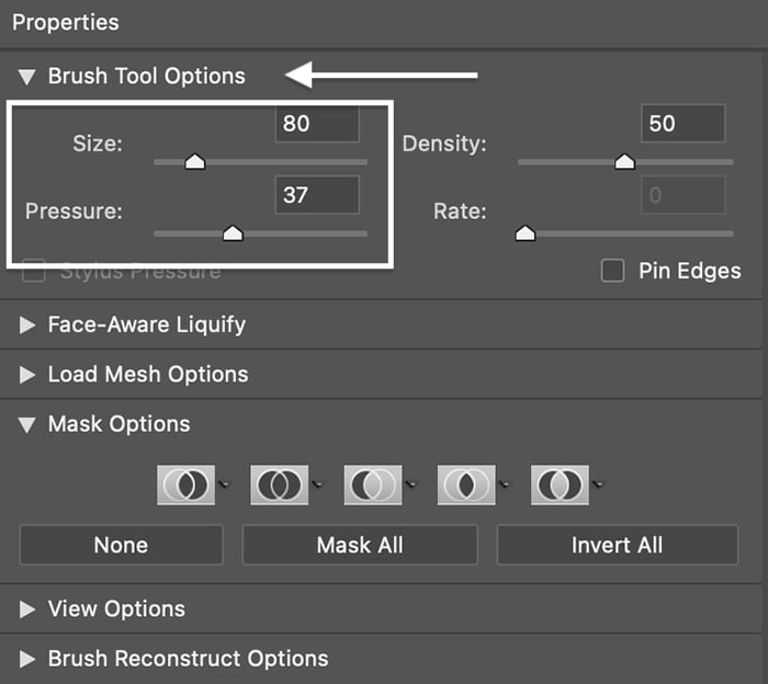 Screenshot of brush settings panel for Liquify Photoshop edits