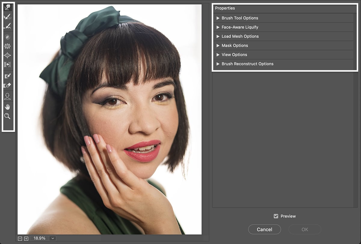Screenshot of properties panel with a woman's portrait for the Liquify tool in Photoshop
