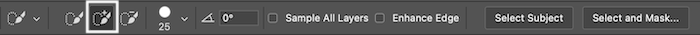 Screenshot of positive brush selection in Photoshop Quick Selection toolbar