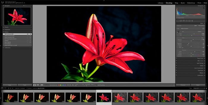 timelapse in photoshop: making tonal adjustments in Lightroom