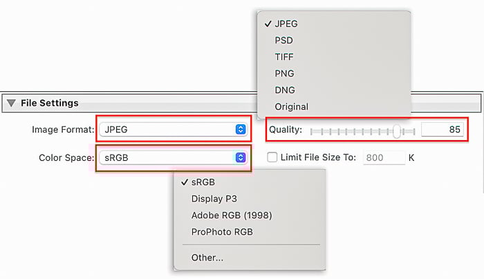 Screenshot of File Settings dialog box for Lightroom export settings