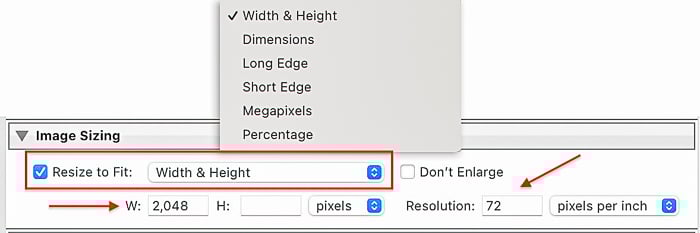 Screenshot Image Sizing dialog box for Lightroom export settings