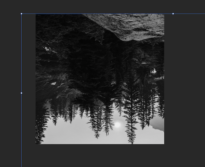 the rotated version of the image I'm using to imprint on the portrait to create a double exposure