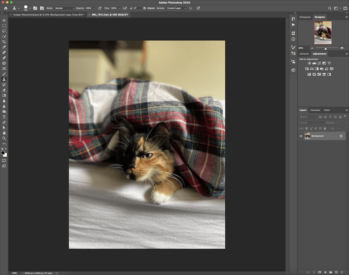 Screenshot of opening picture in Photoshop