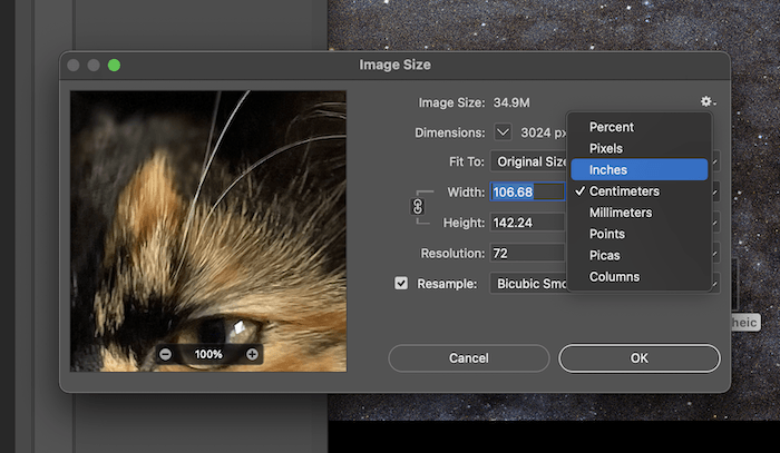 Sizing panel to change picture dimensions showing 4x6 photo actual size