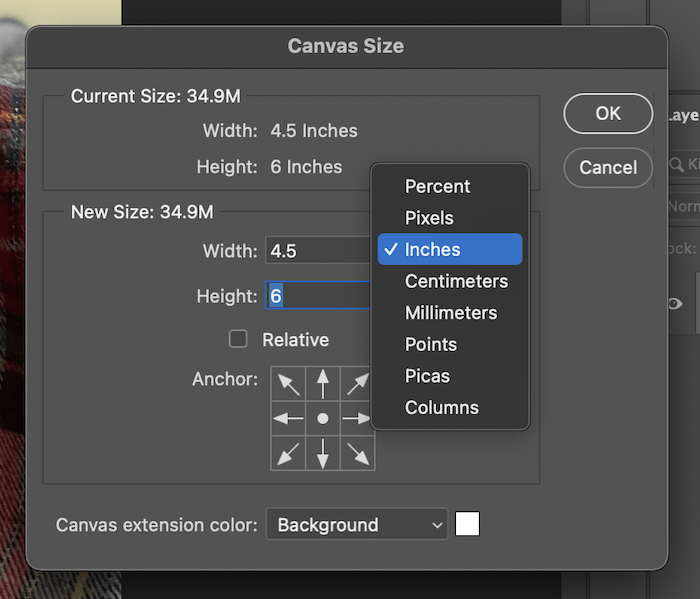 Changing dimensions in canvas size panel