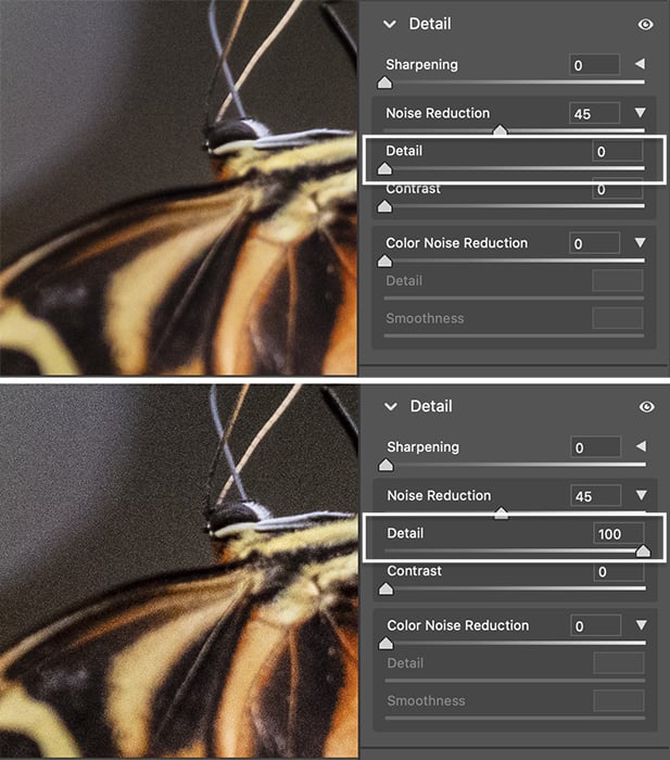 Adobe Camera Raw screenshots comparing change in detail