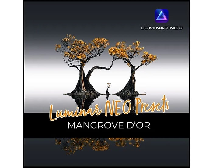 Product image for Mangrove D'or luminar preset