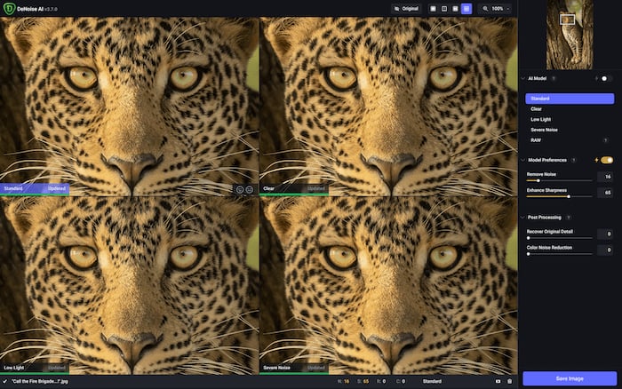 Picture of Comparison View in Topaz DeNoise Ai