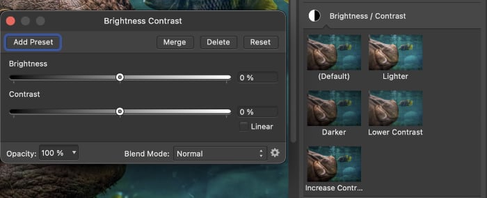 Brightness Contrast tool Affinity Photo screenshot