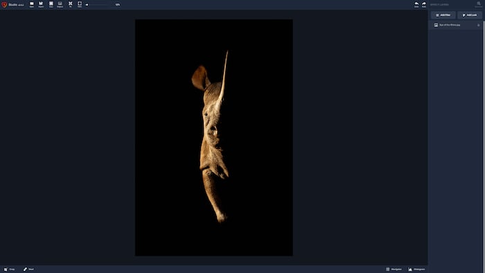 Image of Rhino in Topaz Studio 2 Flexible View