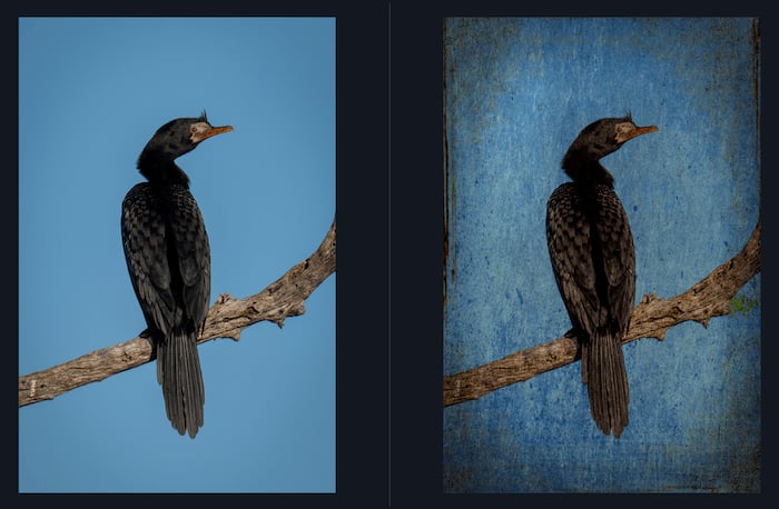 Topaz Studio 2 Urban Grit look