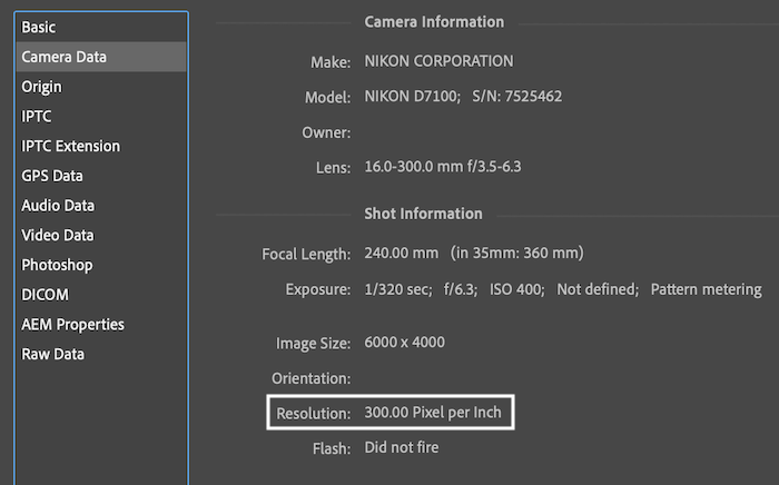 screenshot of checking a photo's resolution