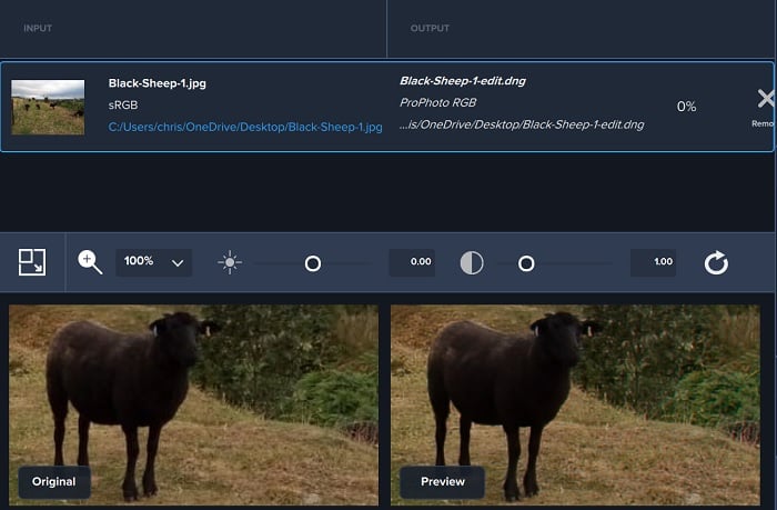 JPEG image and RAW preview in Topaz JPEG image and RAW preview in Topaz