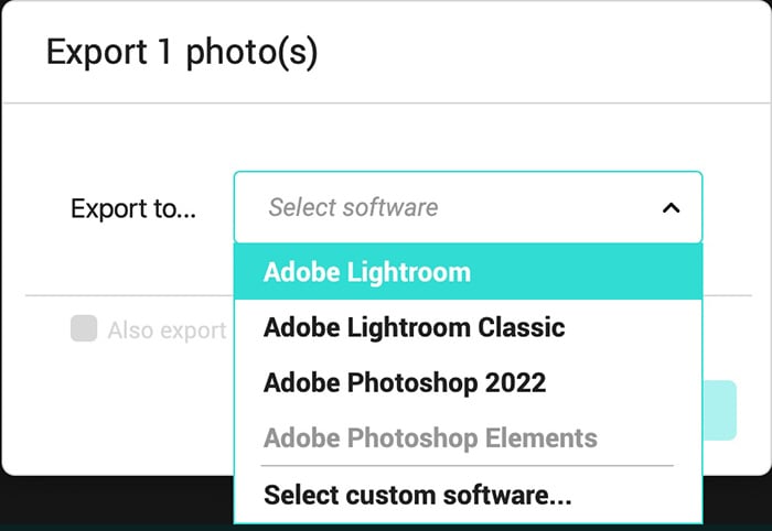 Screenshot DxO PureRAW 2 export options Screenshot DxO PureRAW 2 export options
