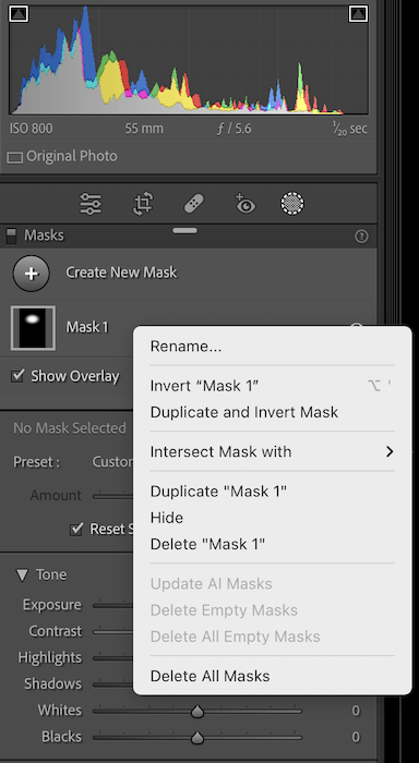Screenshot of pop-up window options for right-clicking mask