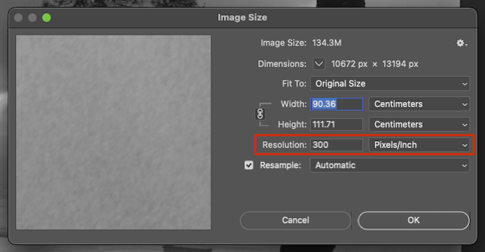 A photo editing software with the settings panel open, showing options for size, dimensions, and alignment.